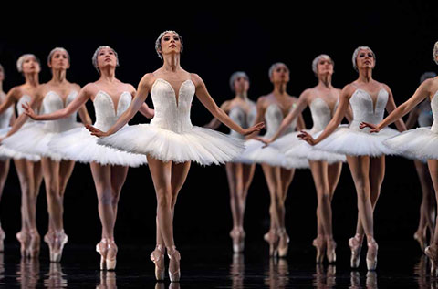 theatre_sfo_swanlake